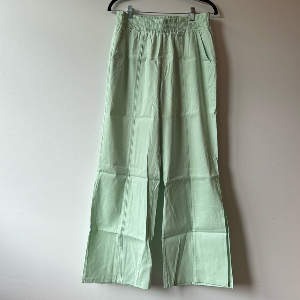 NWT S’edge Harrison Pant in Sea Glass Green